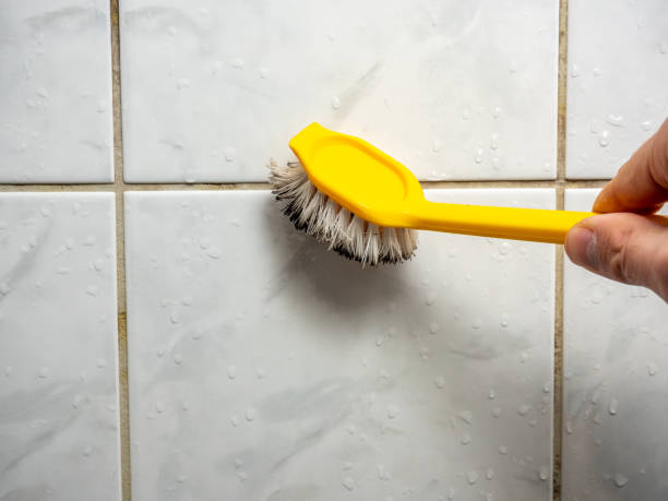 Best Home Mold Removal  in Savoy, IL