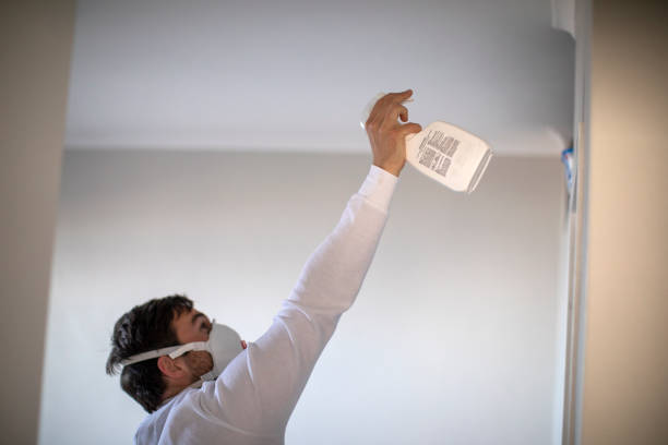 Best Best Mold Removal Companies  in Savoy, IL