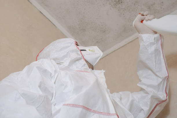 Best Professional Mold Removal  in Savoy, IL