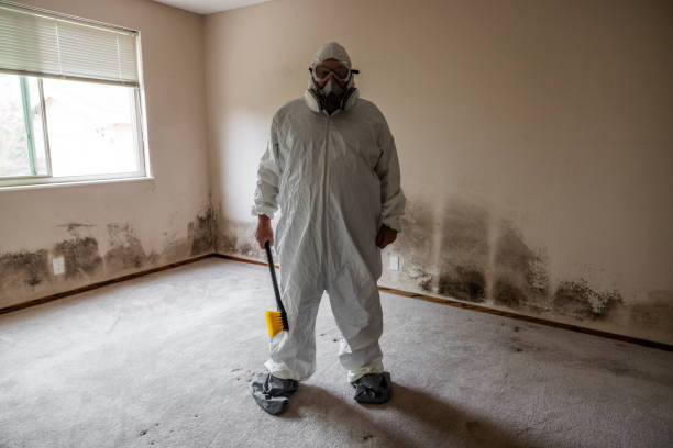 Best Emergency Mold Removal  in Savoy, IL
